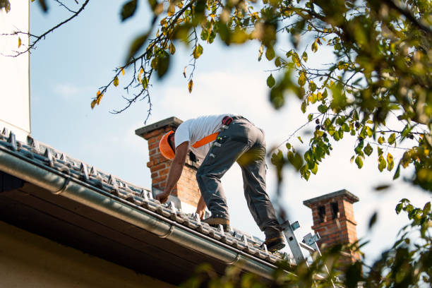 Best Roof Restoration Services  in Gman, IL