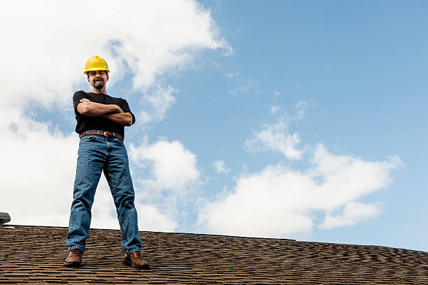 Best Roof Gutter Cleaning  in Gman, IL